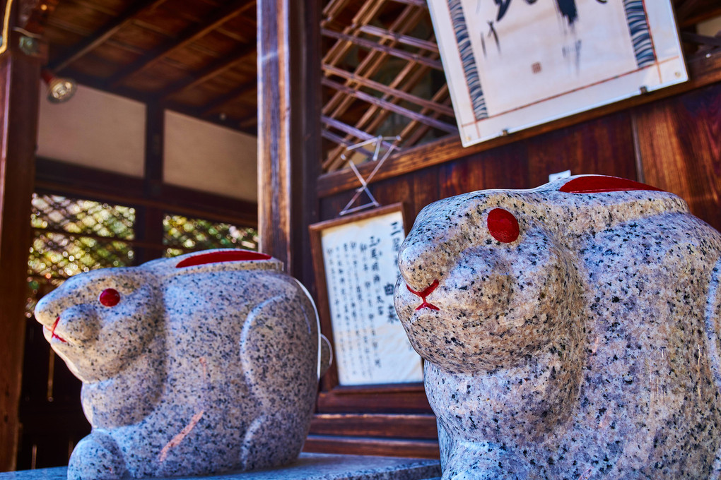 うさぎ神社でうっさうさ