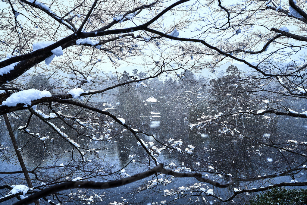 雪の記憶～円町から嵐山へ～