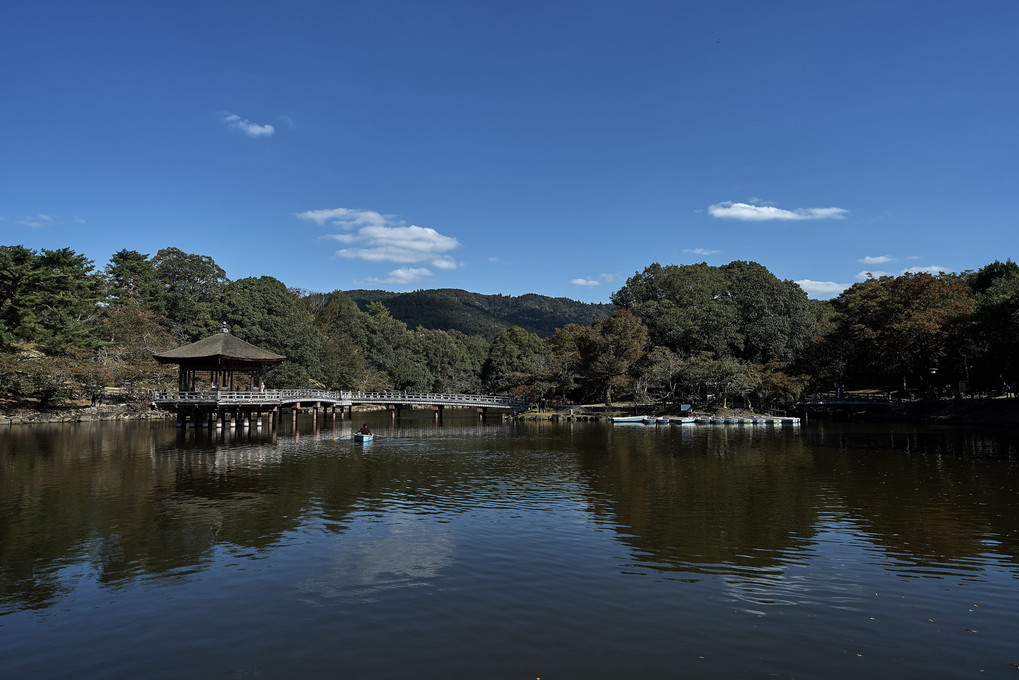 SEL24F14GMと共に奈良へ行く～興福寺と奈良公園フラフラ編～