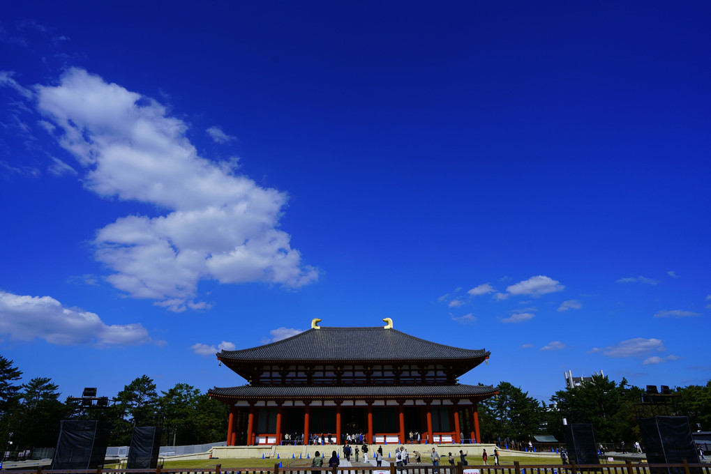 SEL24F14GMと共に奈良へ行く～興福寺と奈良公園フラフラ編～