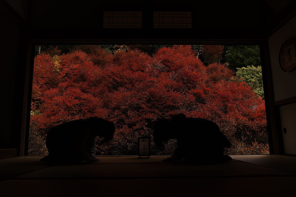 秋色の日本画