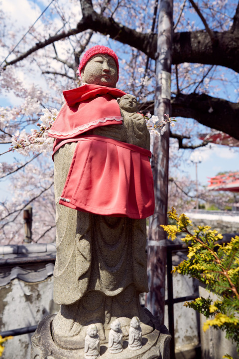 関西の春の一報。紀三井寺！