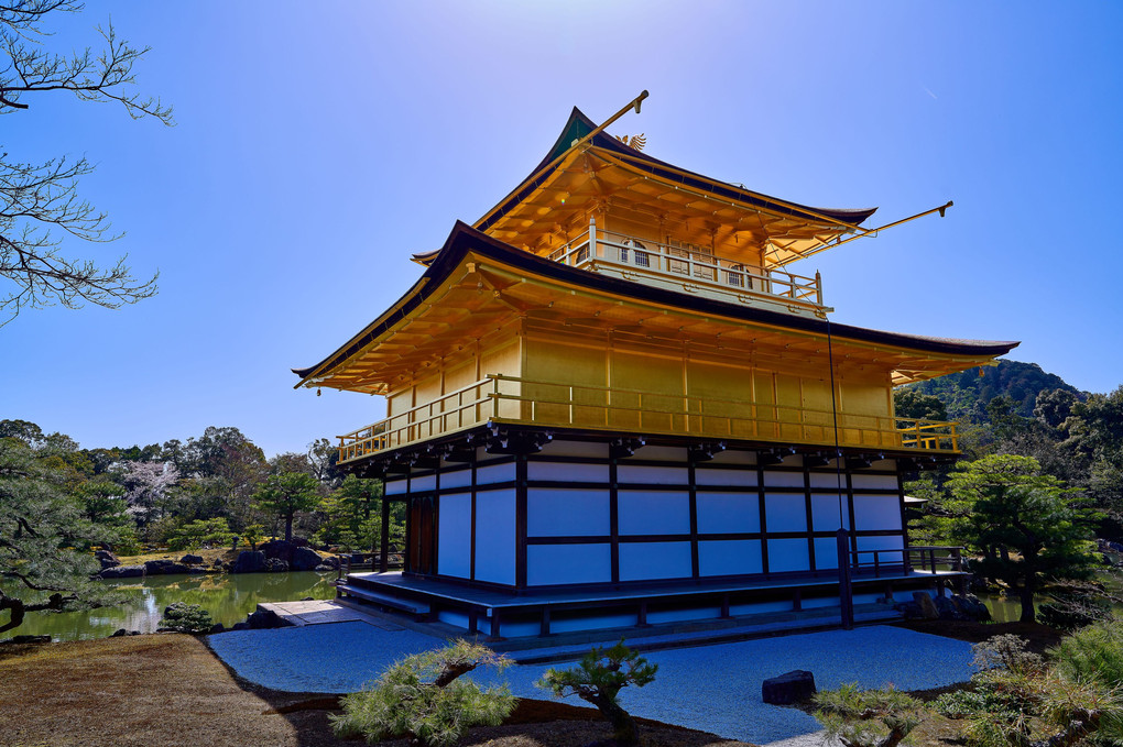 京都照らす金閣寺