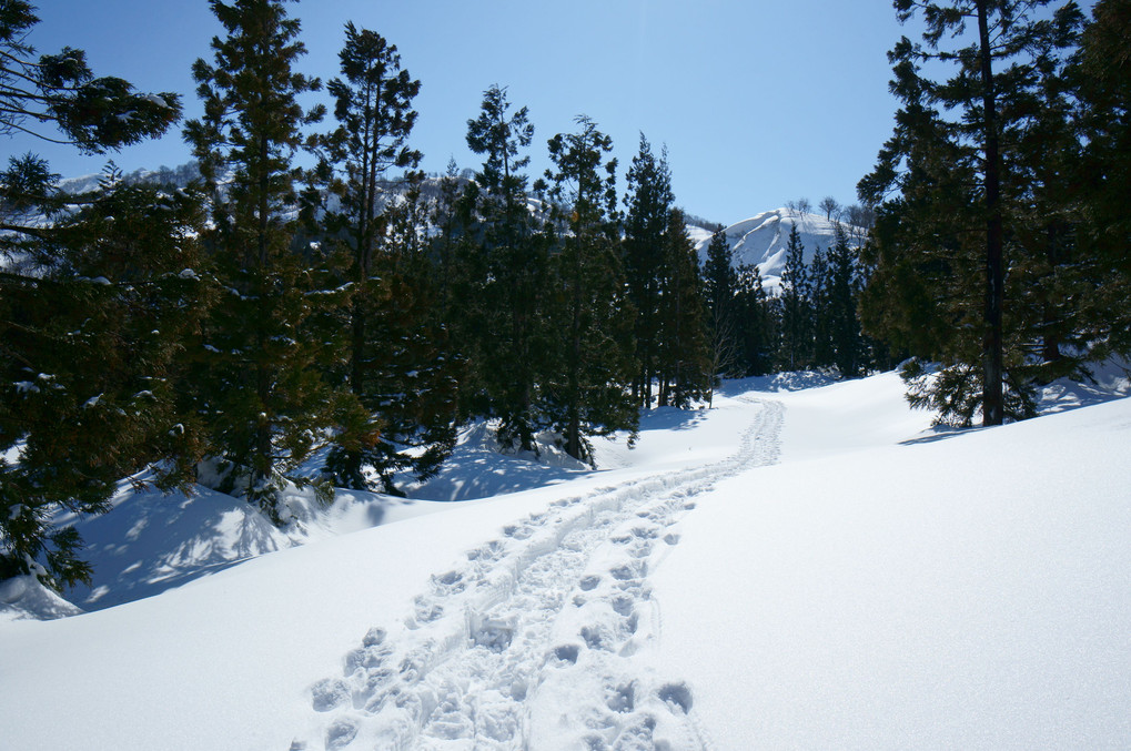 雪山散歩