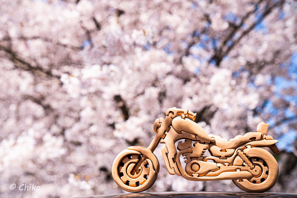 桜の中へ　～旅するバイク～