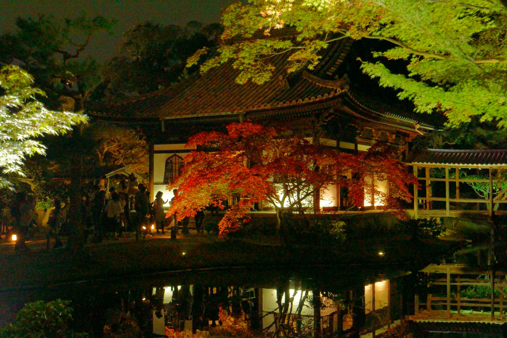 秋の夜長に京都へ