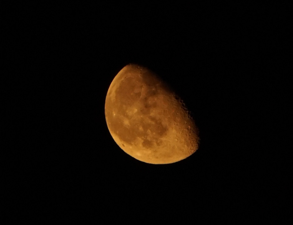 今夜のお月さま