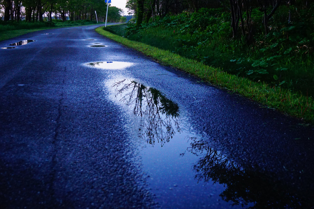 雨の道
