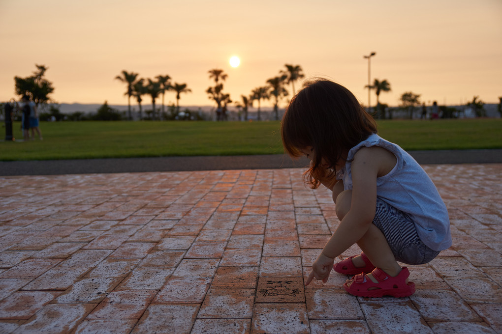 夕方さんぽ