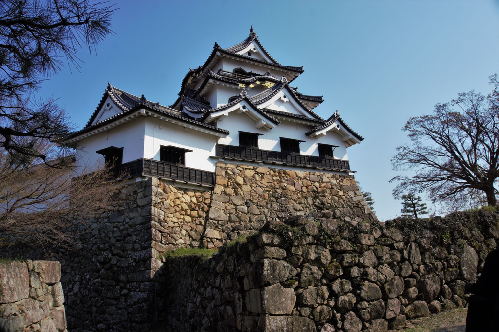 彦根城に行ってきました。
