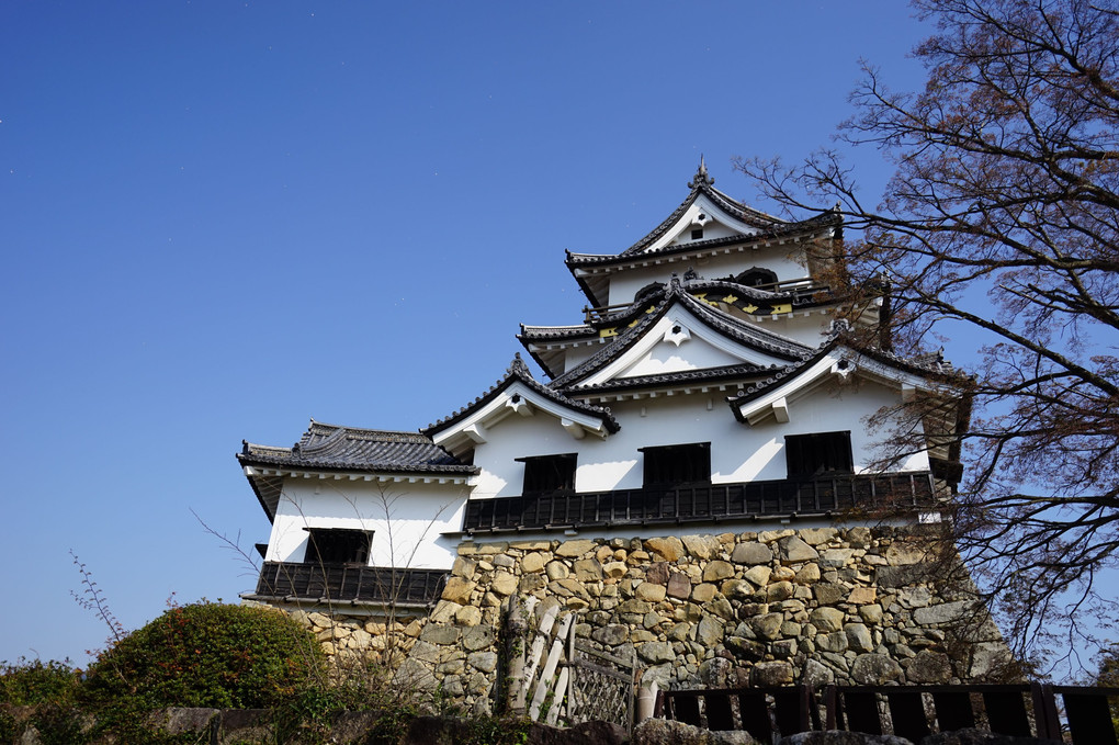 彦根城に行ってきました。