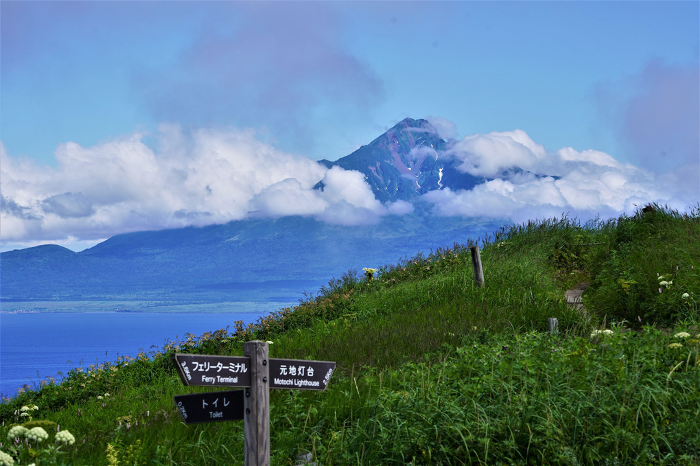北海道旅行に行ってきました。12 礼文島の桃岩展望台コースハイキングに行ってきました