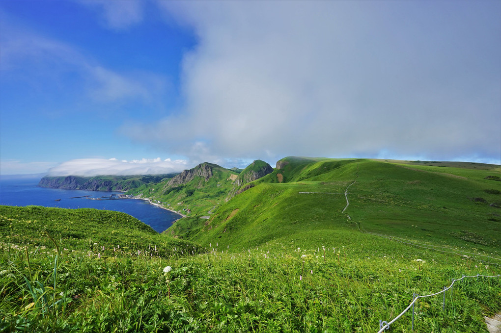 北海道旅行に行ってきました。12 礼文島の桃岩展望台コースハイキングに行ってきました