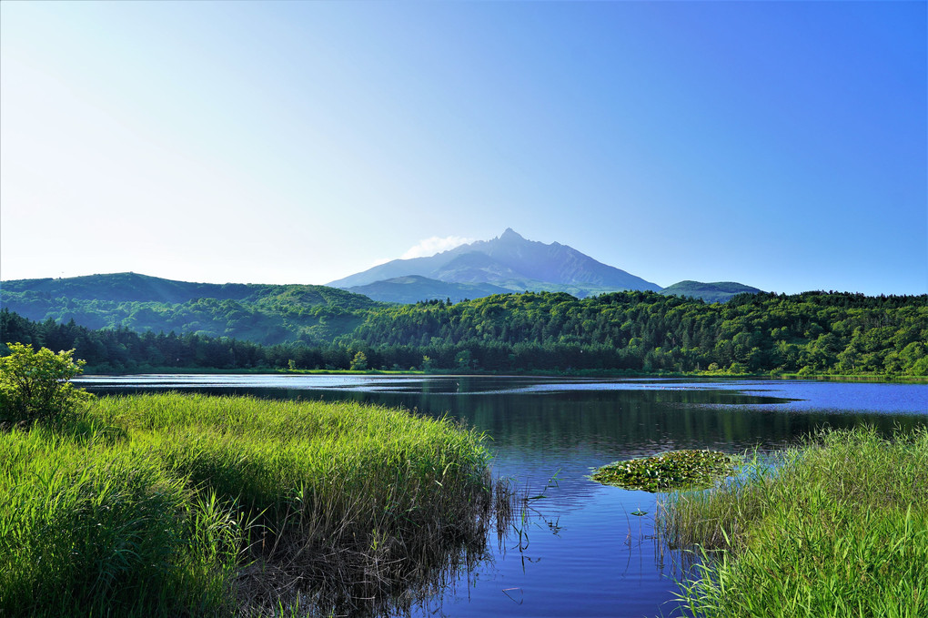 北海道旅行に行ってきました。16　利尻島