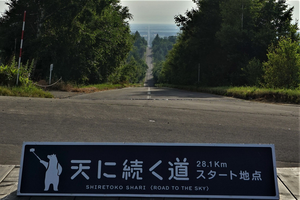 北海道旅行に行ってきました。28 小清水原生花園・天に続く道