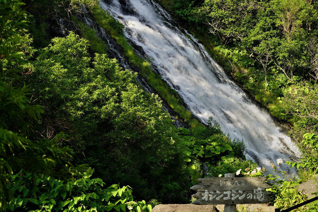 北海道旅行に行ってきました。29 オシンコシンの滝・