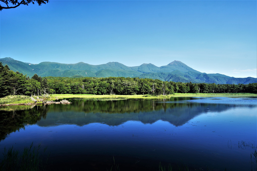 北海道旅行に行ってきました。31　知床五湖