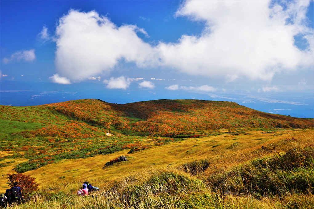 紅葉の栗駒山に神の絨毯を見に行ってきました。