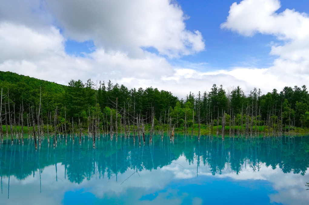 また、北海道に行ってきました。⑲ 青い池