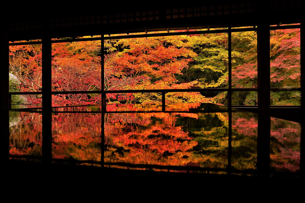 京都・瑠璃光院に行ってきました。