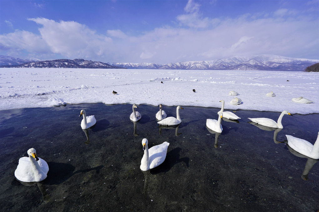 冬の北海道に行ってきました。9