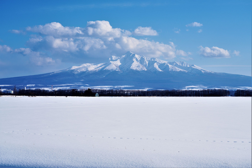 2023冬の北海道に行ってきました。1