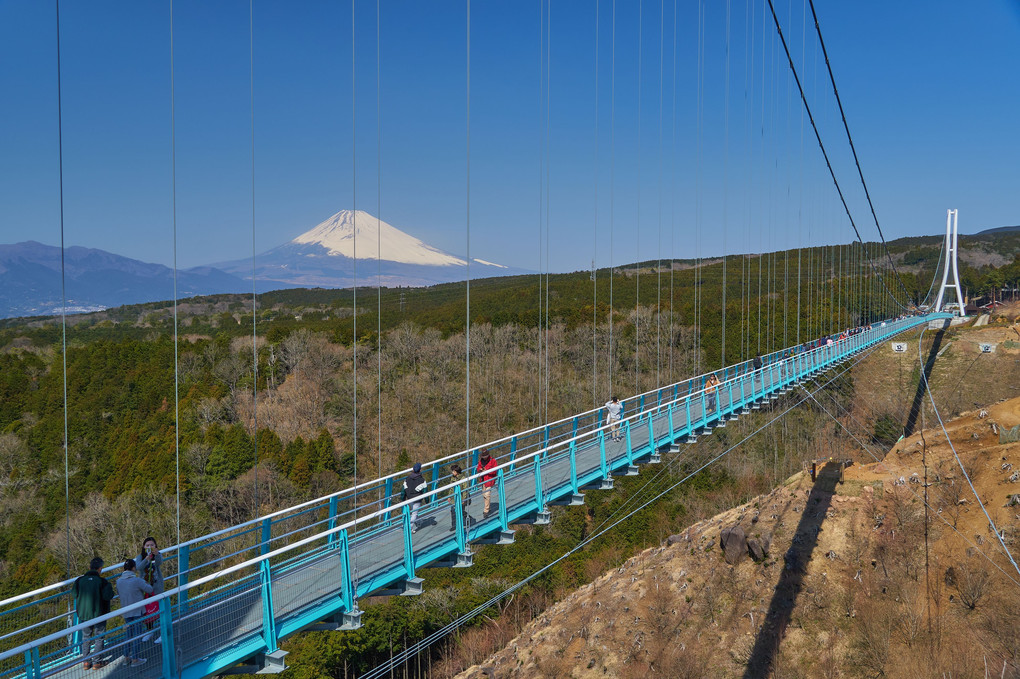 MISHIMA SKYWALK