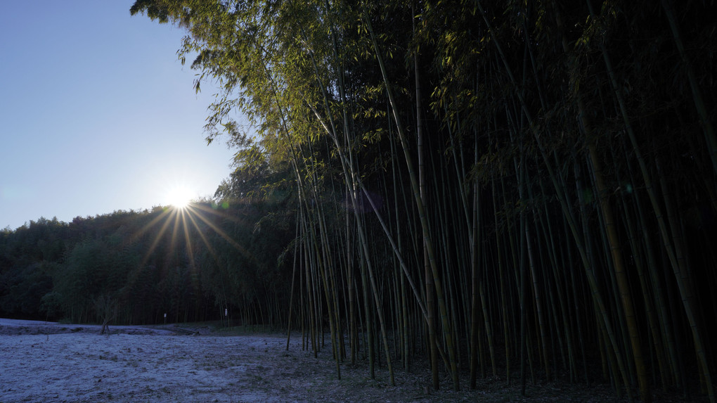 竹撮り物語 残雪の巻