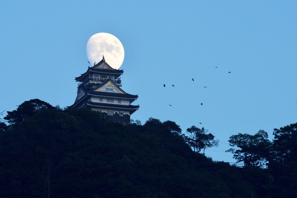 今宵の月と岐阜城