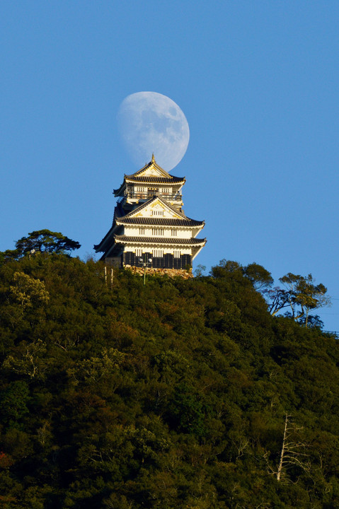 岐阜城と今宵の月