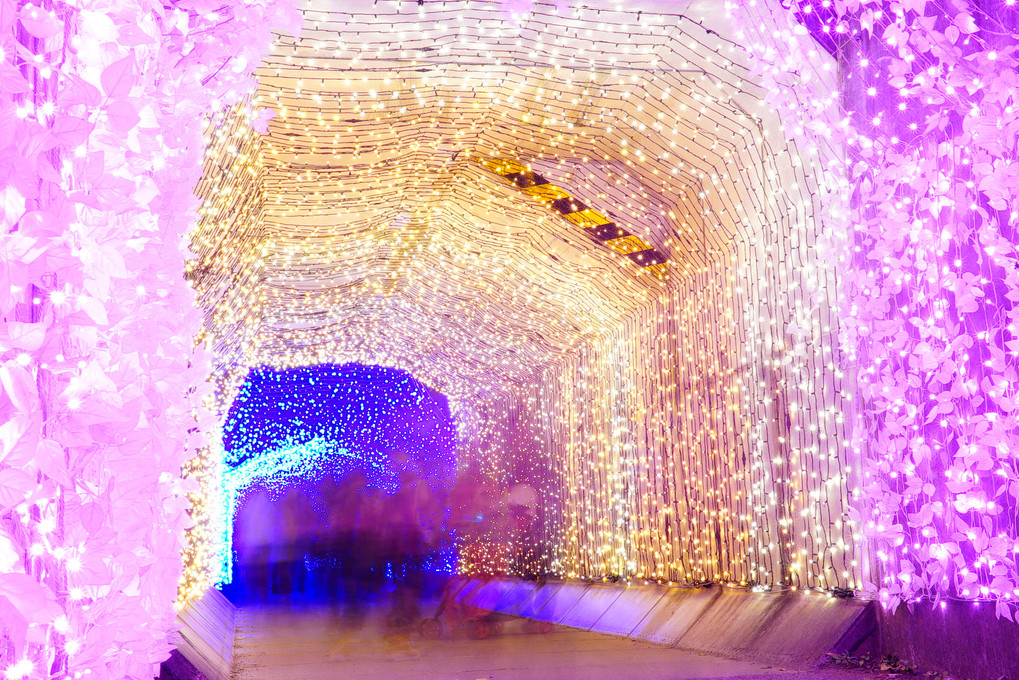 光のトンネル