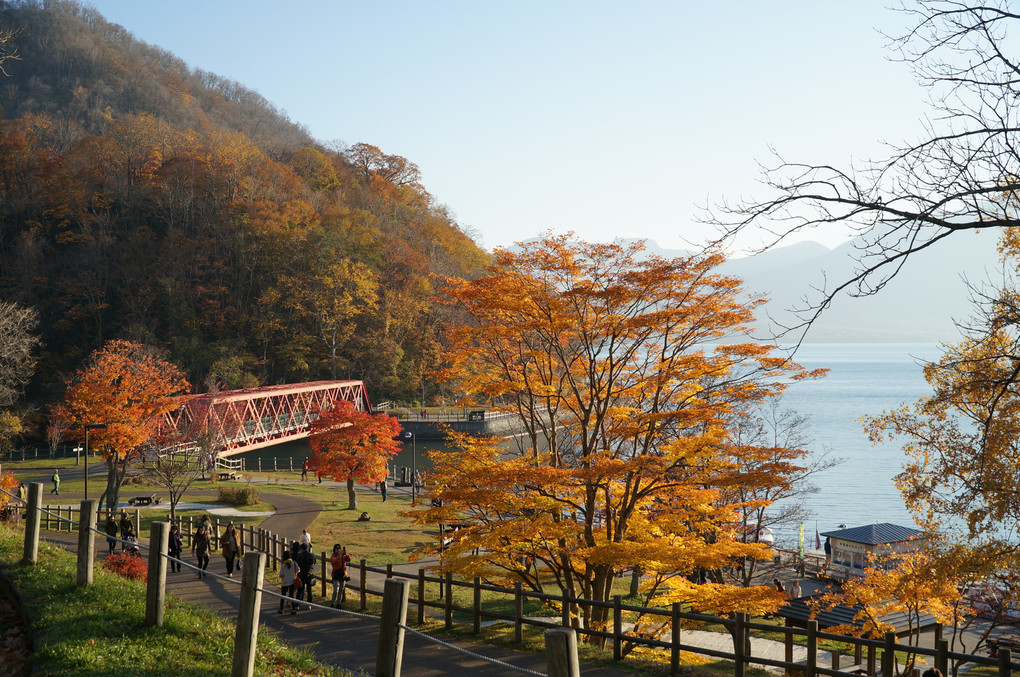 北海道 支笏湖畔の紅葉