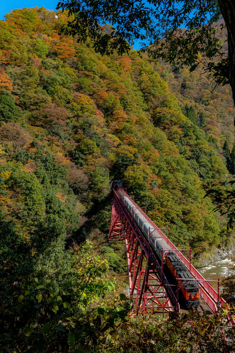 富山渓谷鉄道の秋-2