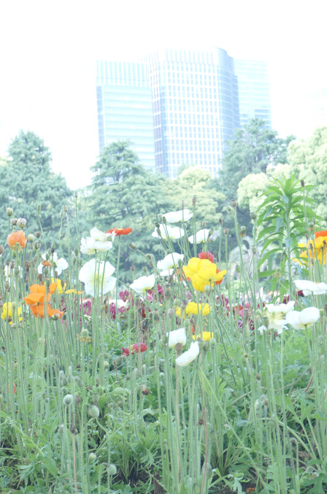 エアリーな日比谷公園〜〜