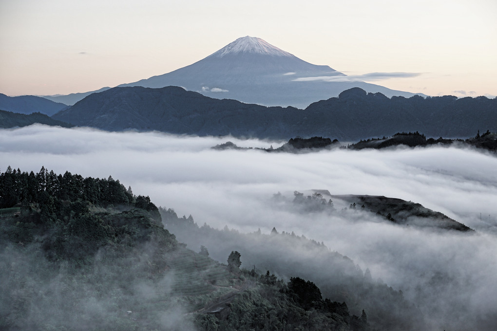 Mt Fuji with morning mist