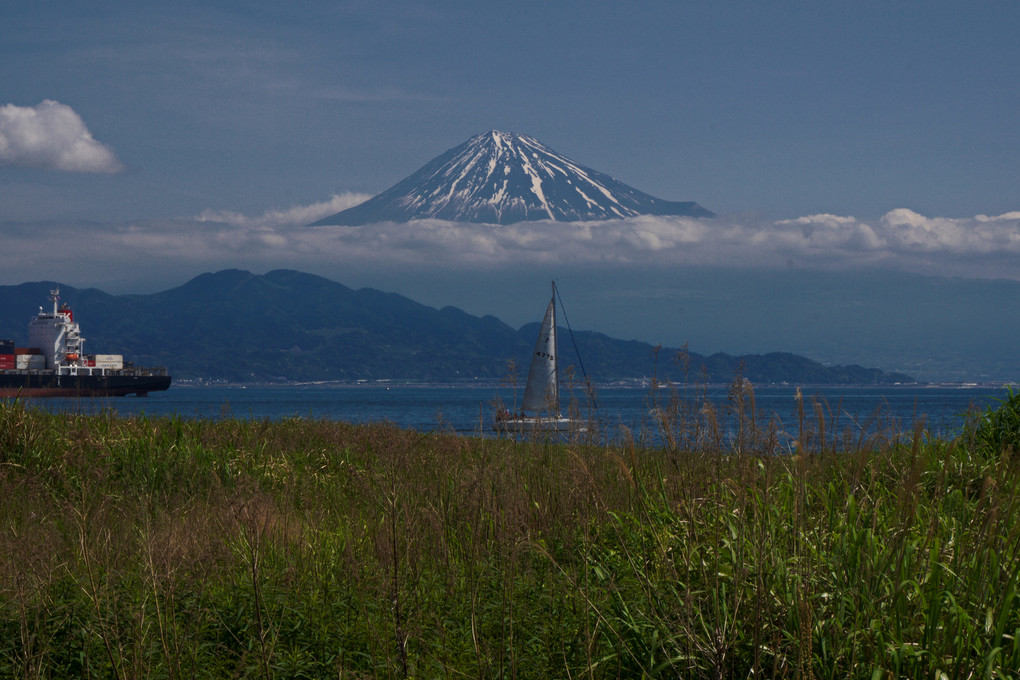 清水三保海岸からの富士山
