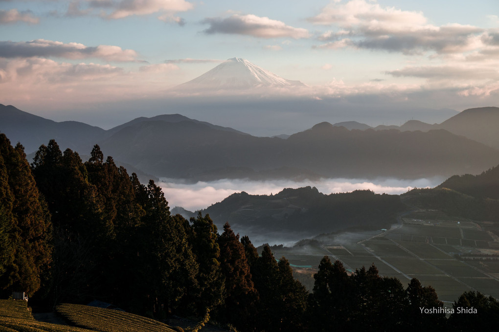 朝日に煙る富士