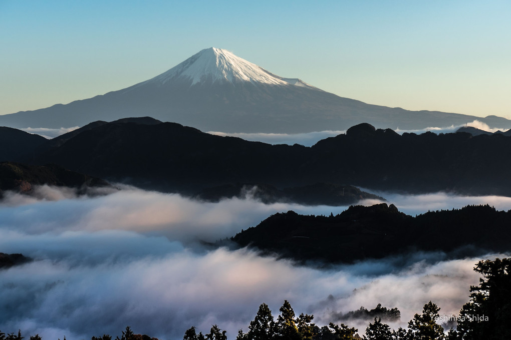 朝日を浴びる雲海と富士山