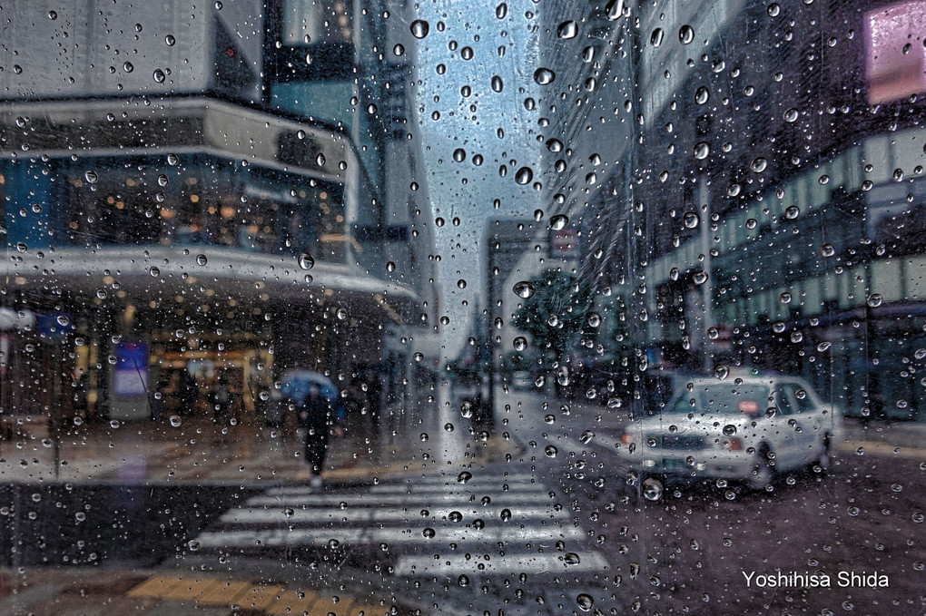 雨の静岡