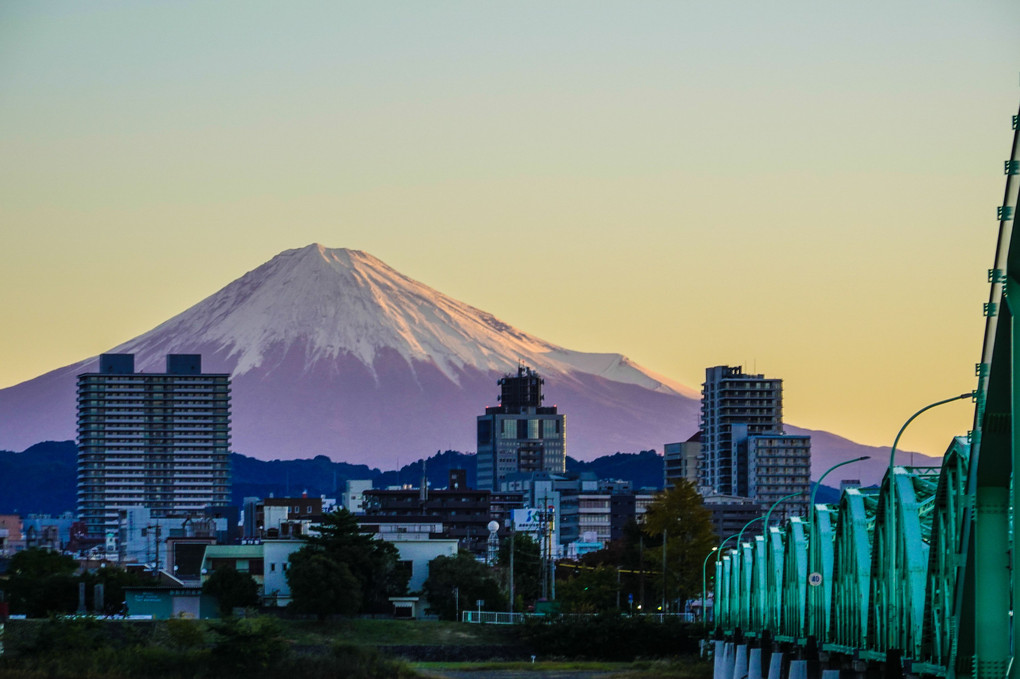 新雪の富士山（朝散歩から）