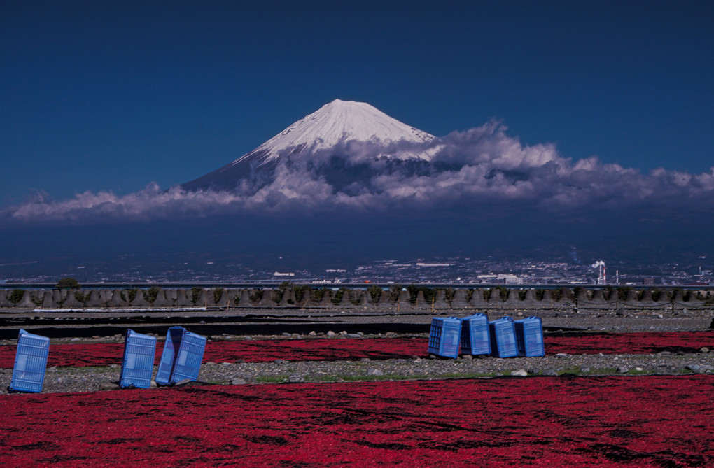 富士山と桜エビ干し