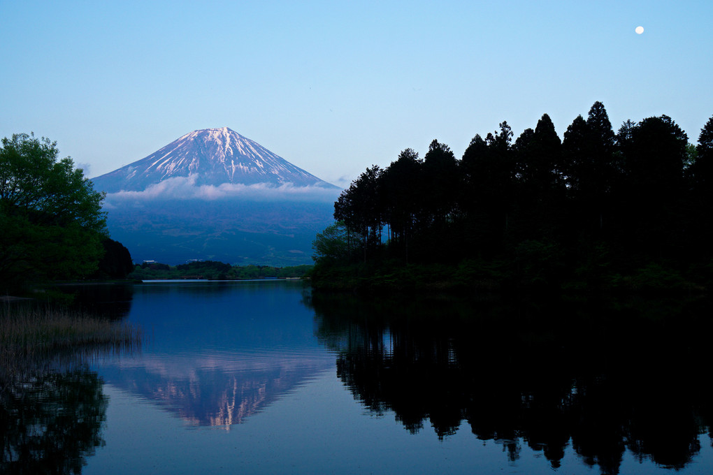Quiet Mt Fuji 