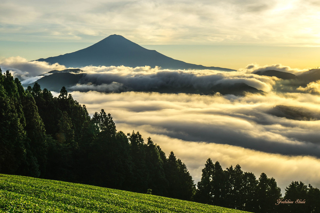 雲海の夏富士、夜明けの変化