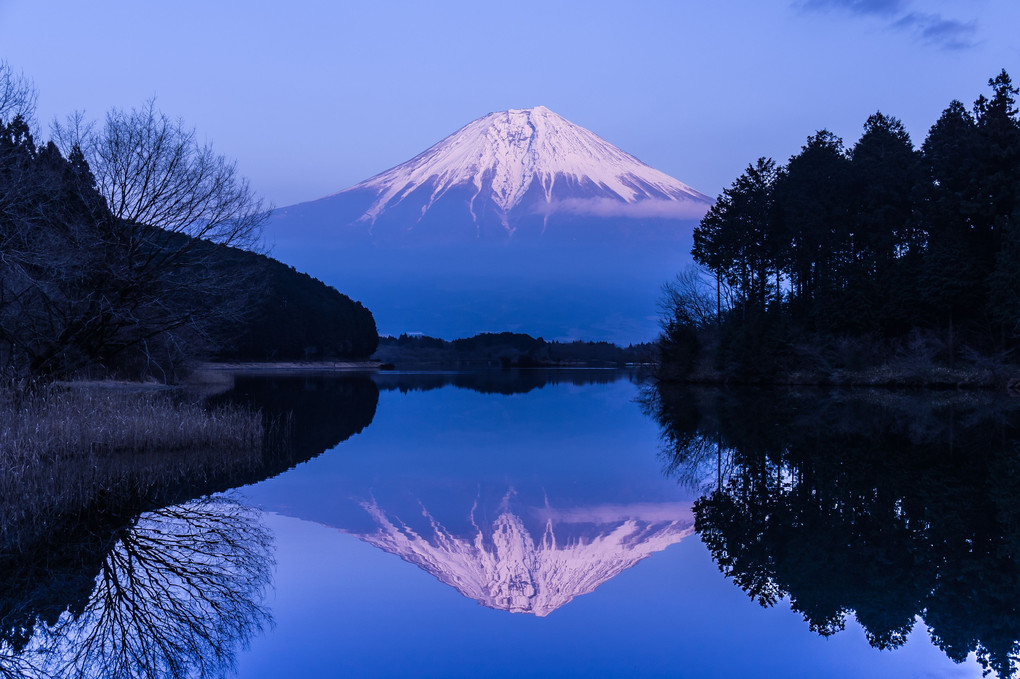 たぬき湖のW富士