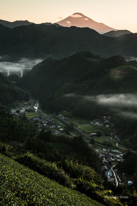 茶畑からの赤富士と集落