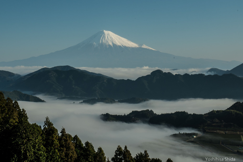 一本杉広場からの富士山