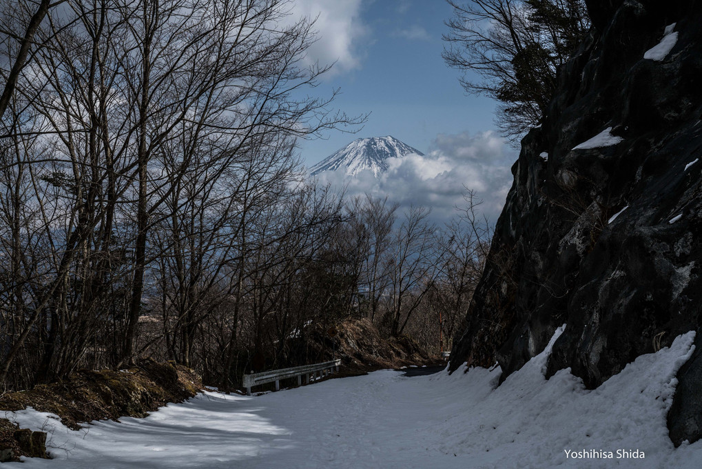 雪残る林道からの富士山