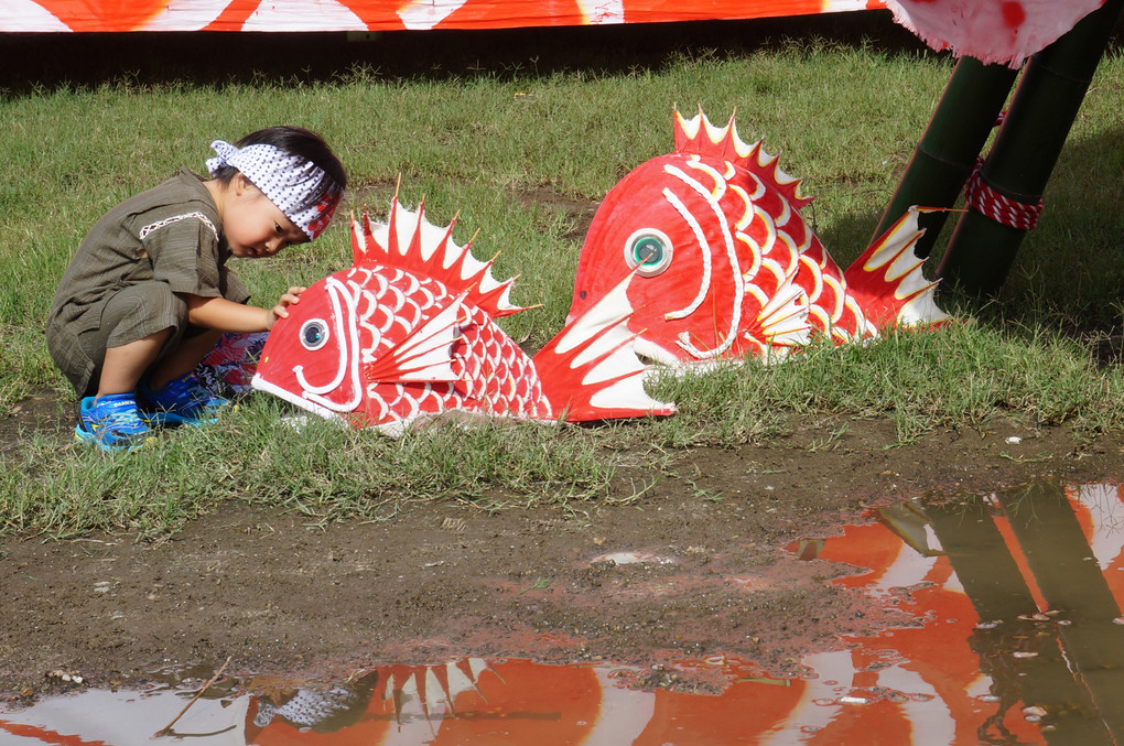 豊浜鯛祭り