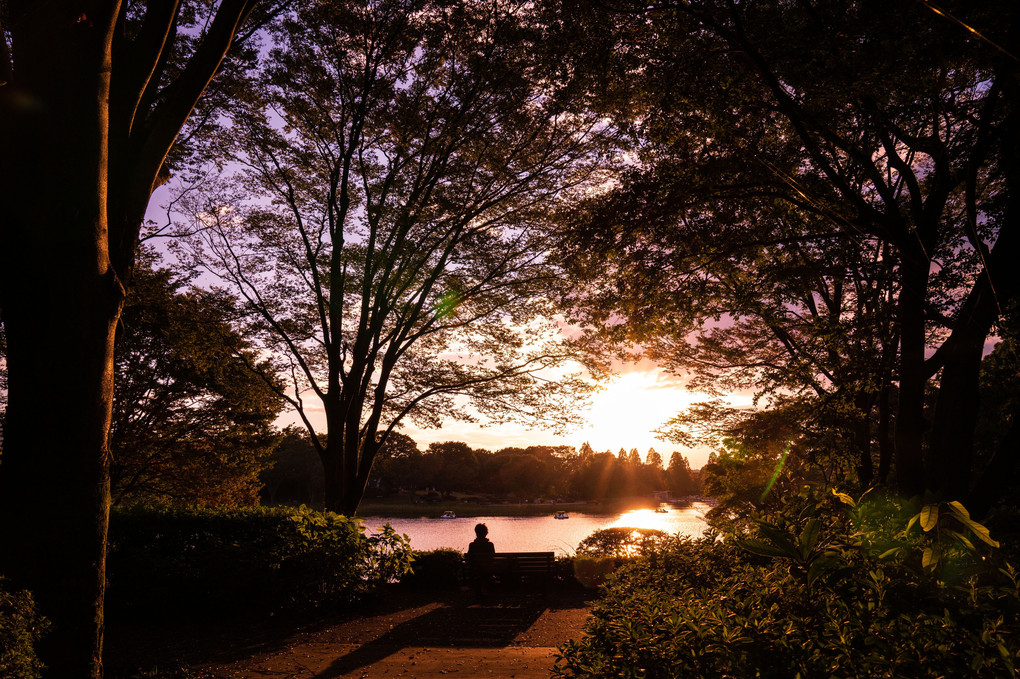 昭和記念公園の夕景