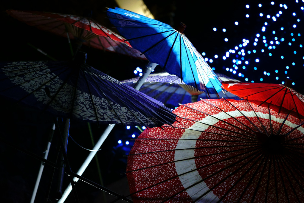 傘の芸術